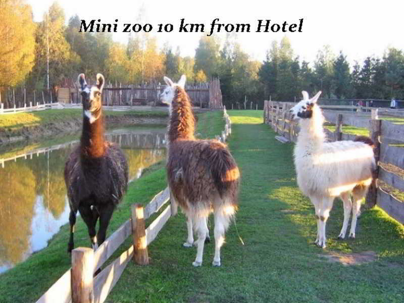 קלייפדה Hotel Pajurio Vieskelis מראה חיצוני תמונה